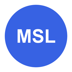 Meta Superintelligence Labs Icon